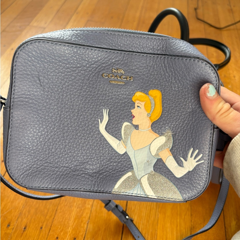 Coach Bag customized Disney